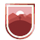 PVSSP
